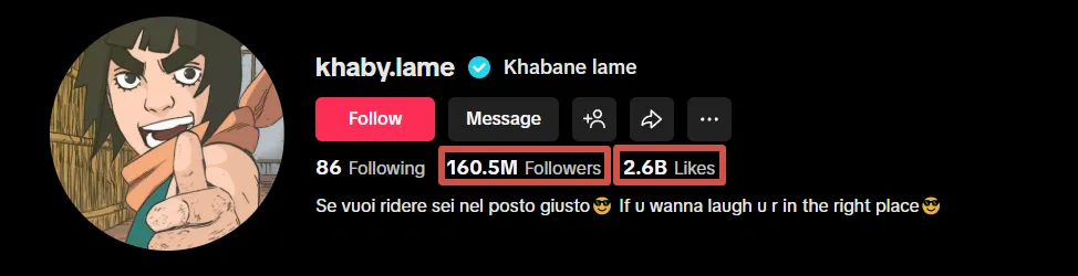 TikTok Profile Followers and Likes